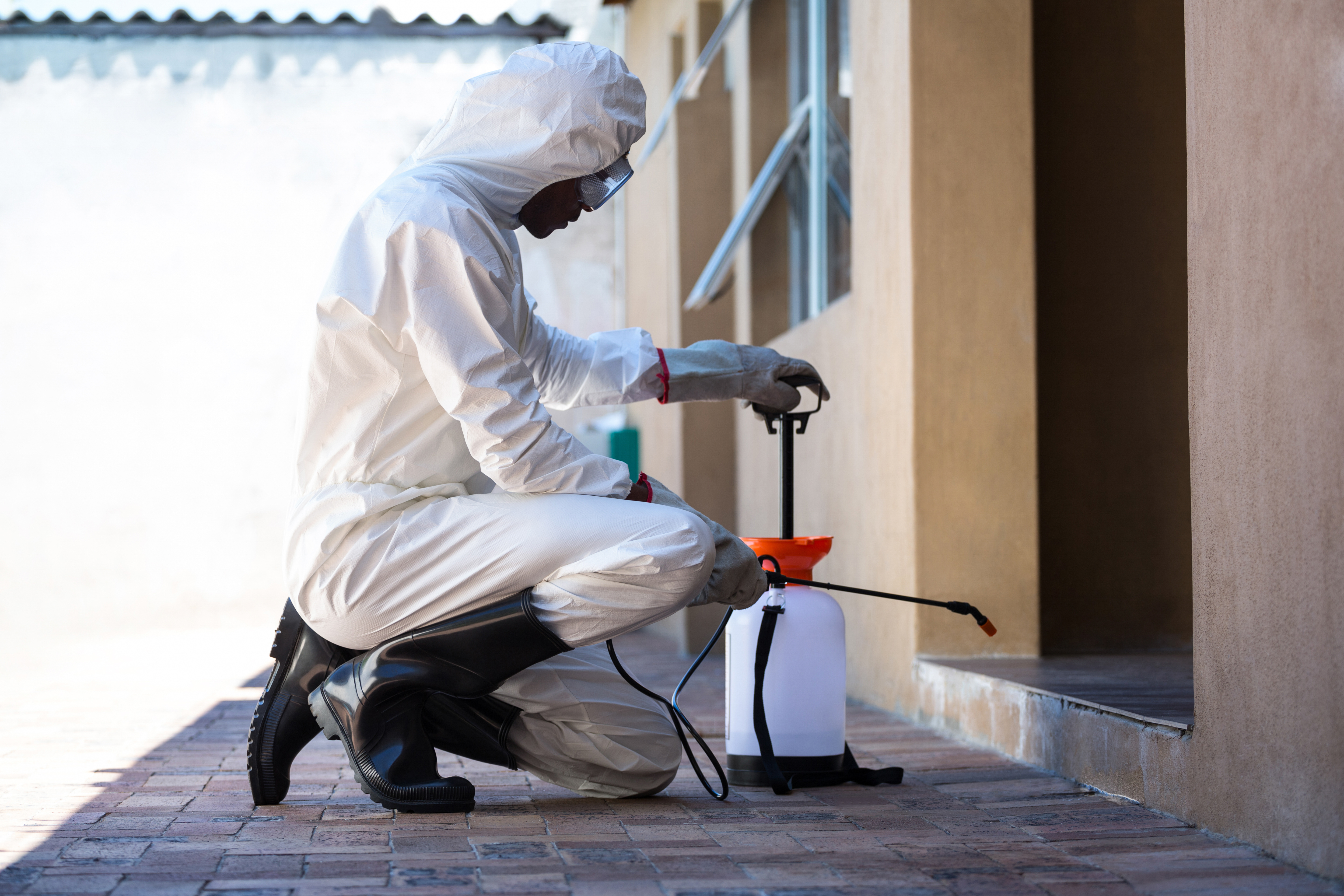 side-view-of-a-man-doing-pest-control-at-home-cimex-control