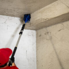 1. arizona-spider-season-spiderweb-pest-control