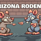 BLOG-10-RODENTS (1)