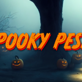 BLOG-19-SPOOKY-PESTS
