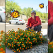 f505e27f-da15-476c-9b94-1585b5900405